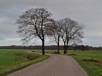 NL, Drenthe, Tynaarlo, Vries, Grote Masloot 1, Saxifraga-Hans Dekker