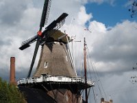 NL, Drenthe, Tynaarlo, Zuidlaren 1, Saxifraga-Hans Dekker