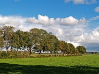 NL, Drenthe, Tynaarlo, Zuidlaren, Noordma 1, Saxifraga-Hans Dekker