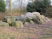 NL, Drenthe, Westerveld, Diever 4, Saxifraga-Hans Dekker