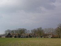 NL, Drenthe, Westerveld, Lhee 2, Saxifraga-Hans Dekker