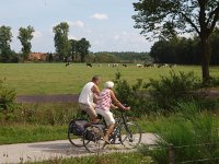 NL, Drenthe, Westerveld, Oude Willem 2, Saxifraga-Hans Dekker