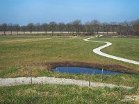 NL, Drenthe, Westerveld, Oude Willem 25, Saxifraga-Hans Dekker