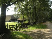 NL, Drenthe, Westerveld, Uffelte, Holtingen 1, Saxifraga-Hans Dekker