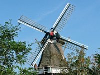 NL, Drenthe, Westerveld, Vledder Molen 1, Saxifraga-Hans Dekker