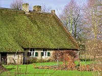 NL, Drenthe, Westerveld, Vledder, De Hoek 1, Saxifraga-Hans Dekker