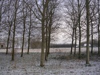 NL, Flevoland, Almere 10, Saxifraga-Henk Sierdsema