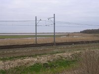 NL, Flevoland, Almere, Oostvaardersplassen 11, Saxifraga-Henk Sierdsema