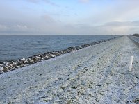 NL, Flevoland, Almere, Oostvaardersplassen 2, Saxifraga-Henk Sierdsema