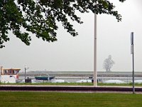 NL, Flevoland, Lelystad 2, Saxifraga-Hans Dekker