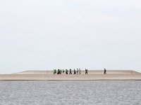 NL, Flevoland, Lelystad, Marker Wadden 1, Saxifraga-Bart Vastenhouw