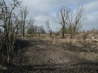 NL, Flevoland, Lelystad, Oostvaardersplassen 7, Saxifraga-Willem van Kruijsbergen