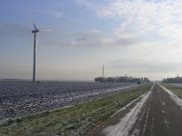 NL, Flevoland, Zeewolde 10, Saxifraga-Henk Sierdsema