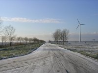 NL, Flevoland, Zeewolde 4, Saxifraga-Henk Sierdsema