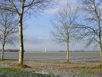 NL, Flevoland, Zeewolde 7, Saxifraga-Henk Sierdsema