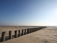 NL, Friesland, Ameland 2, Saxifraga-Bart Vastenhouw