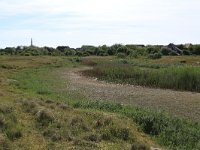 NL, Friesland, Ameland, Jan Roepeheide 4, Saxifraga-Hans Boll