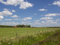 Typical rural landscape of southwestern part of Dutch province Friesland  Typical rural landscape of southwestern part of Dutch province Friesland : agricultural, agriculture, cloudscape, europe, european, farmland, grass, grassland, Holland, landscape, meadow, pasture, room, rural, sky, skyscape, field, no people, nobody, outdoors, outside, cow parsley, ditch, flower, flowers, parsley