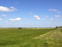 Typical rural landscape of southwestern part of Dutch province Friesland  Typical rural landscape of southwestern part of Dutch province Friesland : agricultural, agriculture, cloudscape, europe, european, farmland, grass, grassland, Holland, landscape, meadow, pasture, room, rural, sky, skyscape, field, no people, nobody, outdoors, outside, Sleat