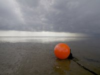 Engelsmanplaat, Waddenzee  Engelsmanplaat, Waddenzee : water, oranje, rainy, boei, cloudy, eb, orange, low tide, beschermd natuurgebied, Frysia, nature reserve, Friesland, natuurbeleving, lente, nature, zee, natura 2000-gebied, laagwater, zandplaat, Natura 2000, IBA, laag water, grauw, grey, Wadden, natuur, Wadplaat, Fryslan, bewolkt, floater, voorjaar, Waddenzee, staatsbosbeheer, Wadden Sea, Engelsmanplaat, sea, regenachtig