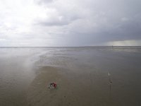 Engelsmanplaat, Waddenzee  Engelsmanplaat, Waddenzee : kinderen, water, laag water, nature, sea, child, Friesland, Wadplaat, low tide, natura 2000-gebied, zandplaat, eb, walking, bewolkt, rainy, regenachtig, Natura 2000, natuurbeleving, Wadden, model released, zee, staatsbosbeheer, Frysia, grey, Fryslan, wadlopen, natuur, lente, recreation, Waddenzee, laagwater, children, grauw, beschermd natuurgebied, recreatie, cloudy, voorjaar, Wadden Sea, nature reserve, IBA, kind, wadlopers, wandelen, Engelsmanplaat