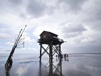 Engelsmanplaat, Waddenzee  Engelsmanplaat, Waddenzee : staatsbosbeheer, model released, wadlopers, sea, natuur, low tide, cloudy, wadlopen, regenachtig, nature reserve, natura 2000-gebied, lente, Waddenzee, recreation, nature, laagwater, Natura 2000, zee, IBA, wandelen, child, eb, recreatie, zandplaat, Engelsmanplaat, laag water, bewolkt, walking, rainy, Friesland, water, kinderen, beschermd natuurgebied, Wadplaat, natuurbeleving, Frysia, Wadden Sea, grey, kind, children, Wadden, grauw, voorjaar, Fryslan