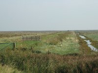 NL, Friesland, Dongeradeel, zomerkade Pier Holwerd 4, Saxifraga-Jan van der Straaten