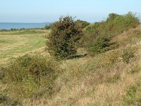 NL, Friesland, Gaasterland-Sloten, Oude Mirdumer Klif 1, Saxifraga-Jan van der Straaten