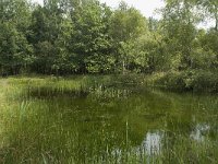 NL, Friesland, Gaasterland-Sloten, Wyldemerk 1, Saxifraga-Willem van Kruijsbergen