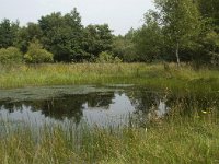 NL, Friesland, Gaasterland-Sloten, Wyldemerk 2, Saxifraga-Willem van Kruijsbergen