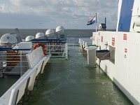 NL, Friesland, Harlingen, Waddenzee 8, Saxifraga-Jan van der Straaten