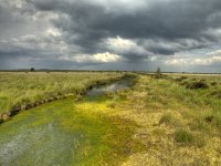 NL, Friesland, Ooststellingwerf, Fochteloerveen 10, Saxifraga-Rudmer Zwerver : Fochtelooerveen, Netherlands, acid, air, background, beautiful, blue, bog, brooding, canal, cloud, clouds, cloudy sky, copy space, creative nature, ditch, drain, draining, dramatic, dutch, environment, field, fochteloo, fresh, grass, green, heather, holland, horizon, landscape, light, marsh, marshland, mood, moor, national, natura 2000, natural, nature, nature conservation, nobody, oosstellingwerf park, peat, plant, pole, pounds, ravenswoud, rudmer zwerver, rural, sky, sphagnum, storm, summer, swamp, swampy, track, trail, vegetation, water, wetland, white, yellow