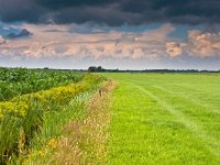 dramatic sky above dutch agricultural landscape  dramatic sky above dutch agricultural landscape : achtergrond, agrarisch, agrarische, agricultural, agriculture, background, biotoop, blauw, blue, brooding, canal, cloud, clouds, copy space, corn, country, countryside, creative nature, ditch, drain, drainage, draining, dramatic, dramatische, dreigend, dreigende, dutch, farm, field, fresh, gras, grass, green, greppel, groen, holland, land, landbouw, landelijk, landscape, landschap, licht, light, lucht, maïs, meadow, mood, natural, nature, natuur, natuurlijk, natuurlijke, nederland, nederlands, niemand, nobody, omgeving, onweer, plant, platteland, rudmer zwerver, rural, sky, sloot, spoor, storm, summer, track, trail, veld, water, weide, weiland, white, wit, wolk, wolken, zomer