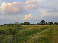 Dutch landscape of lake bordered by reed  Dutch landscape of lake bordered by reed : Dutch, europe, european, Friesland, frisian, green, Holland, lake, natural, nature, Netherlands, reed, rural landscape, rural scene, summer, summertime, tranquil scene, tranquillity, water, no people, nobody, outside