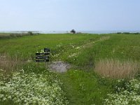 Nature reserve along Lake IJssel of It Fryske Gea; organisation of Dutch province Friesland  Nature reserve along Lake IJssel of It Fryske Gea; organisation of Dutch province Friesland : bocht fan molkwar, nature, reserve, ditch, ditches, fryske gea, grass, green, ijsselmeer, it fryske gea, lake ijssel, meadow, natural, non-urban scene, protection, rural landscape, rural scene, water, wetland, flowers, flowery, no people, nobody, outdoors, outside, reed, reeds, spring, springtime, summer, summertime, horizon, horizon over water, cow parsley, parsley