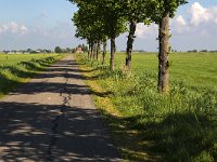 Typical rural landscape of Dutch province Friesland  Typical rural landscape of Dutch province Friesland : sky, outside, outdoor, landscape, rural landscape, countryside, rural scene, non-urban scene, land, Friesland, Frylan, Dutch, Holland, Netherlands, Europe, European, no people, nobody, summer, summertime, spring, springtime, ditch, water, farm, farmland, agriculture, agricultural, grass, grassland, meadow, plain, room, blue, horizon, horizon over land, road, street, tree, trees