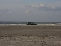 NL, Friesland, Terschelling, Boschplaat 45, Saxifraga-Hans Boll