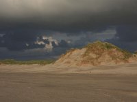 NL, Friesland, Terschelling, Boschplaat 48, Saxifraga-Hans Boll