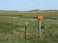 NL, Friesland, Terschelling, De Grie 28, Saxifraga-Dirk Hilbers