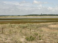 NL, Friesland, Terschelling, Noordsvaarder 5, Saxifraga-Hans Boll