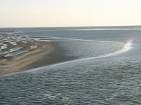 NL, Friesland, Terschelling, Terschellinger wad 15, Saxifraga-Hans Boll