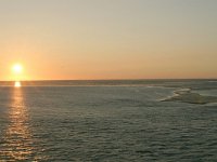 NL, Friesland, Terschelling, Terschellinger wad 18, Saxifraga-Hans Boll