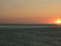 NL, Friesland, Terschelling, Terschellinger wad 19, Saxifraga-Hans Boll