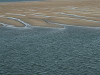 NL, Friesland, Terschelling, Terschellinger wad 5, Saxifraga-Hans Boll