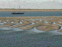 NL, Friesland, Terschelling, Terschellinger wad 6, Saxifraga-Hans Boll