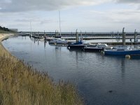 NL, Friesland, Terschelling, West-Terschelling 3, Saxifraga-Jan van der Straaten