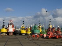 NL, Friesland, Terschelling, West-Terschelling 5, Saxifraga-Jan van der Straaten