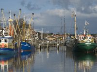 NL, Friesland, Terschelling, West-Terschelling 7, Saxifraga-Marijke Verhagen