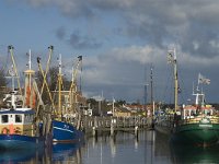 NL, Friesland, Terschelling, West-Terschelling 8, Saxifraga-Marijke Verhagen