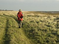 NL, Friesland, Terschelling, Wierschuur 17, Saxifraga-Marijke Verhagen